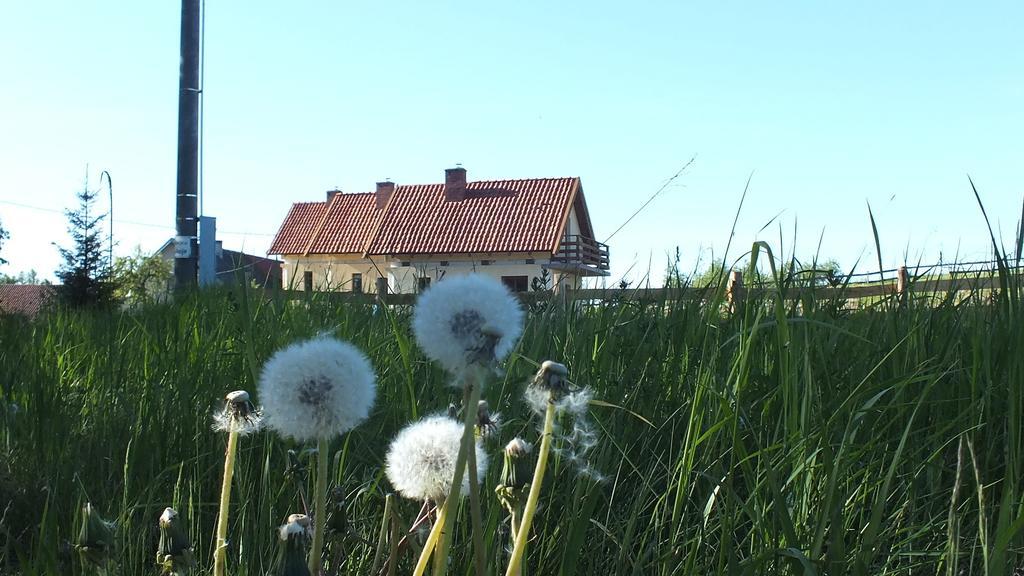 Domki Na Mazurach Kurka Wodna Hotel มิโคไวกี ภายนอก รูปภาพ